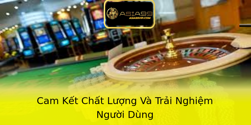 Cam Kết Chất Lượng Và Trải Nghiệm Người Dùng