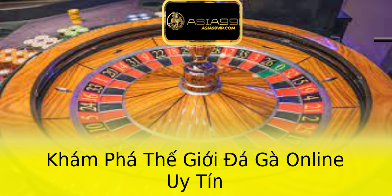 Khám Phá Thế Giới Đá Gà Online Uy Tín