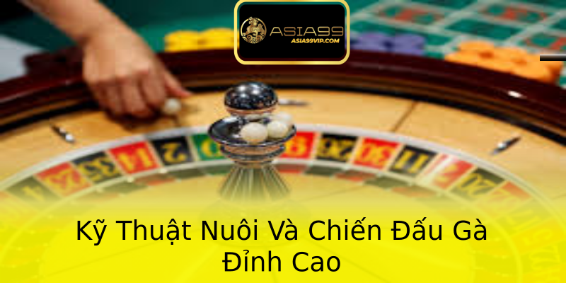 Kỹ Thuật Nuôi Và Chiến Đấu Gà Đỉnh Cao