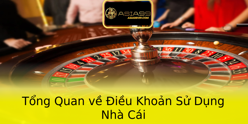 Tổng Quan về Điều Khoản Sử Dụng Nhà Cái